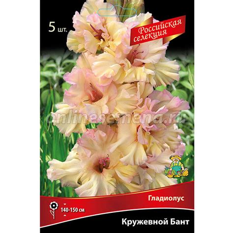 Луковицы Гладиолуса Кружевной Бант (5 шт.) из каталога Луковичные и ...