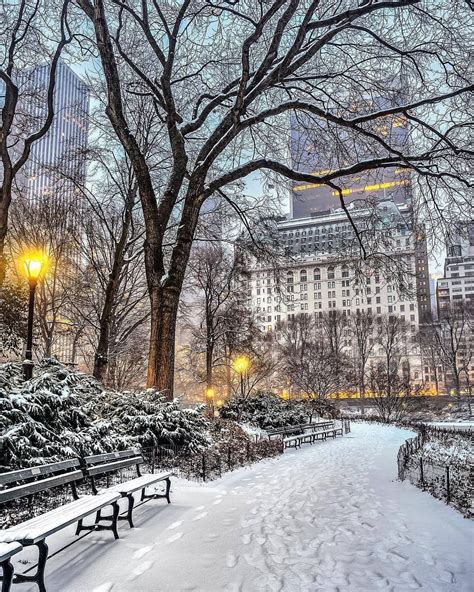 Central Park Christmas Lights Eqazadiv Home Design