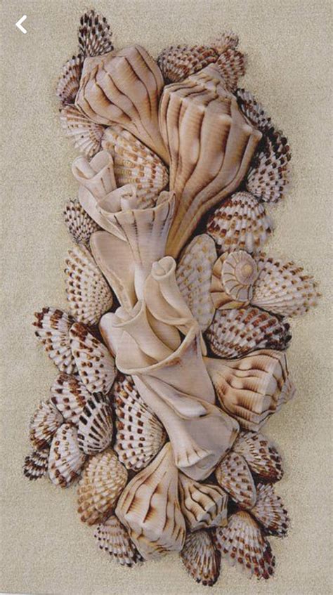 Pin By Sara Larsen On Seashells Crafts In 2024 Seashell Wall Art Sea