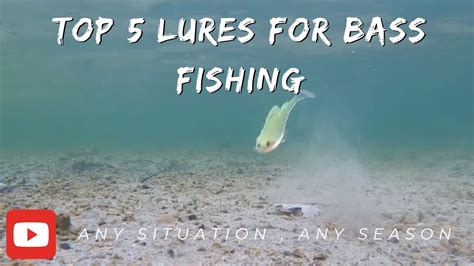 Top Bass Fishing Baits For Any Situation Bass Manager The Best