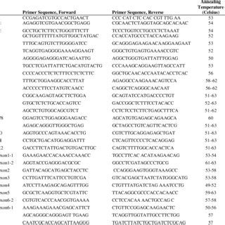 Primers and PCR conditions used in this study | Download Table