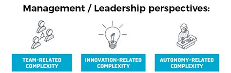 complexity ipma international project management association