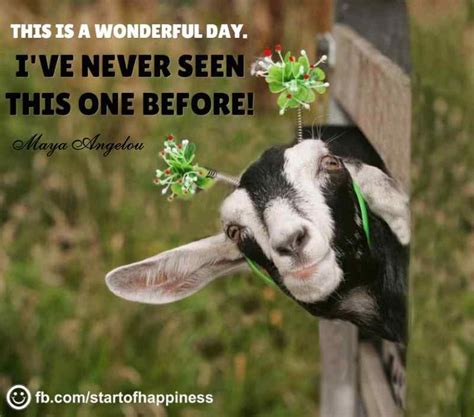 Today, we bring you the best motivational & inspirational quotes with ...