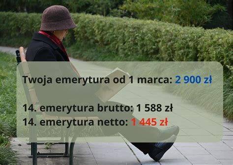 14 emerytura w 2023 roku Wiemy ile pieniędzy dostaną emeryci Kiedy