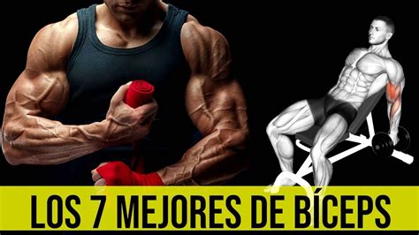 Mejores Ejercicios De B Ceps En El Gym Para Agrandar Tus B Ceps