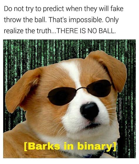 I Show You How Deep the Rabbit-Hole Goes - Memebase - Funny Memes