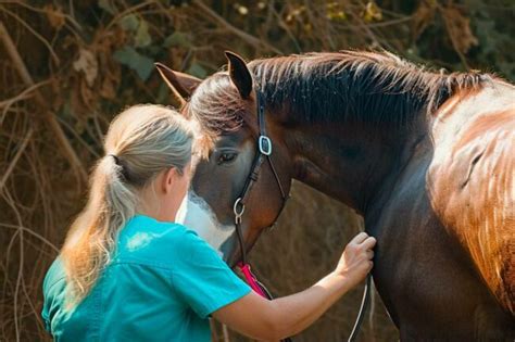 Le V T Rinaire Quin Le Sp Cialiste Sant De Votre Cheval