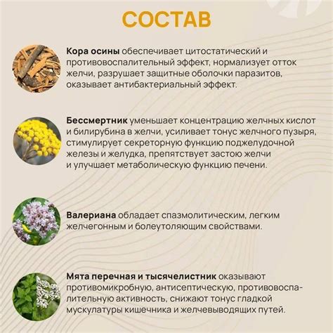 Холегон – купить по лучшей цене с доставкой по Санкт-Петербургу и ...