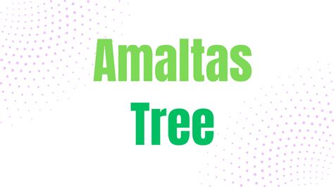 Amaltas Tree