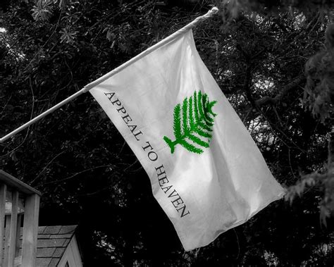 Nashua Says No To Displaying Historic Nh Pine Tree Flag Nh Journal