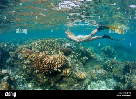 Snorkeling At Bikini Atoll Marshall Islands Bikini Atoll Micronesia