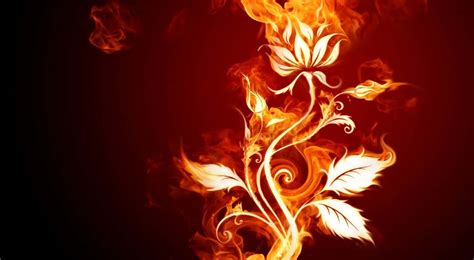 cool fire backgrounds