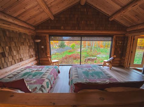Parc Omega Wolf Cabins A Weekend Sleeping With The Wolves Colossal