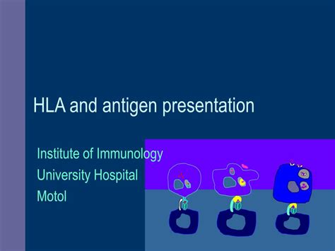 PPT - HLA and antigen presentation PowerPoint Presentation, free ...