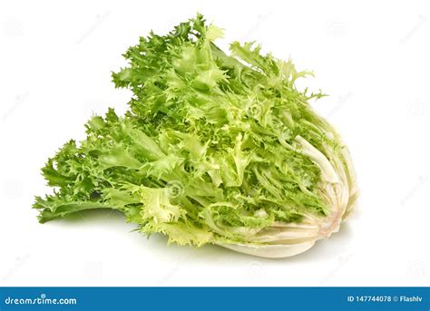 Fresh Romain Lettuce. Crispy Endive. Close-up, Isolated On White Background Stock Photo - Image ...