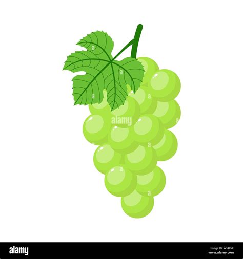 Green Grapes Isolated On White Background Bunch Of Green Grapes With