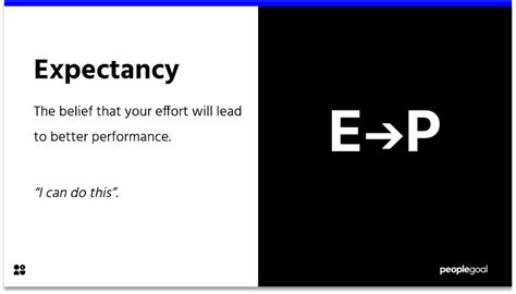 expectancy theory  motivate employees
