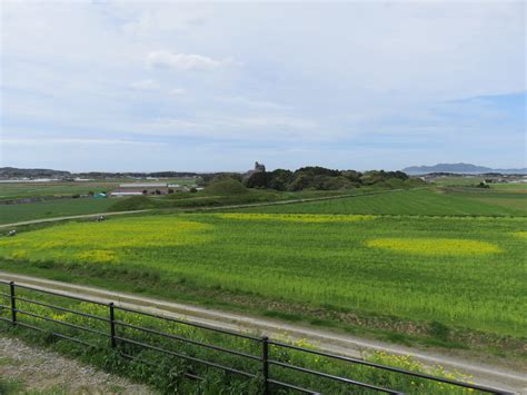 新原・奴山古墳群再訪（福岡県福津市） 九州の古墳遺跡巡り