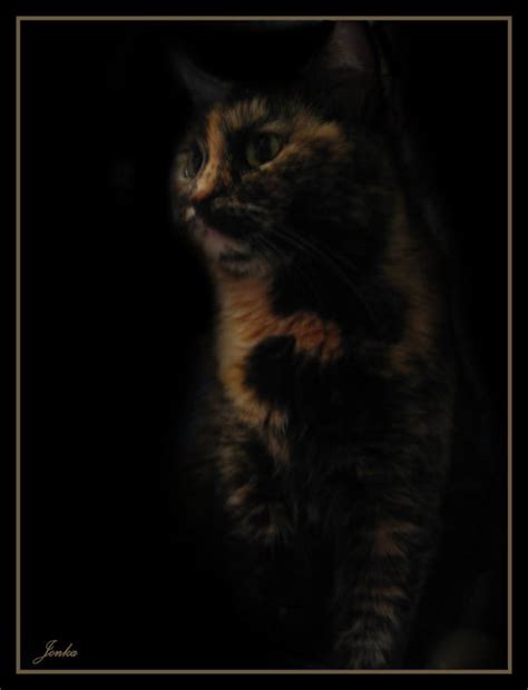 Bagira by PlatinumGirl on DeviantArt