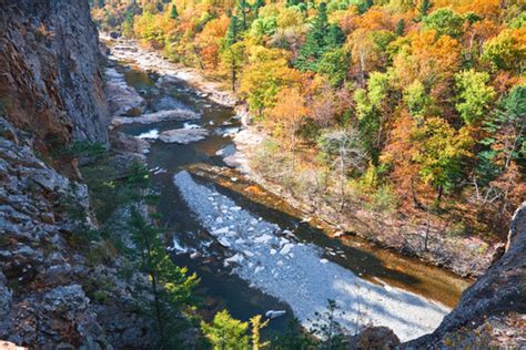 About the Taiga - Taiga Endangered Species