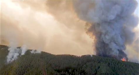 2600 Hektar Verbrannt Teneriffa Waldbrand Ist Komplexester Seit 40