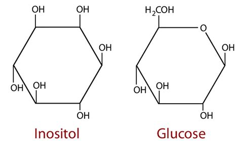 Inositol Reviews - Myo-Inositol, Benefits, Inositol Side Effects