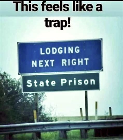 Memes W Linky Gay Nyc Dad