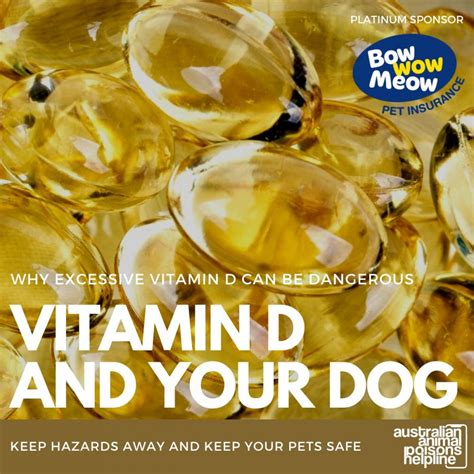 Vitamin D and your Dog - Animal Poisons Helpline