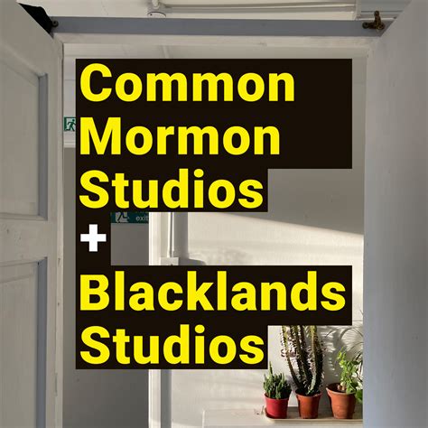 Common Mormon Studios - Coastal Currents 2025