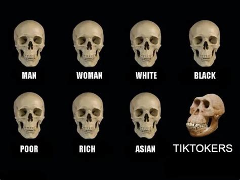 Fuck Tiktok R Fucktiktok
