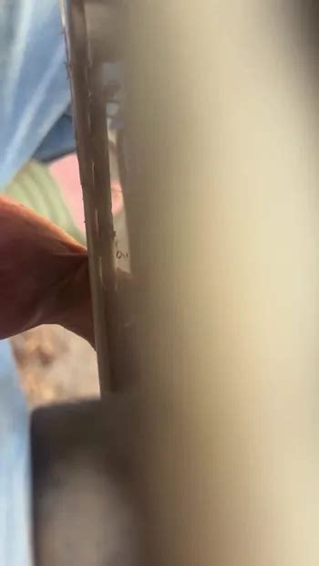 Vídeos gay de BDSM xHamster