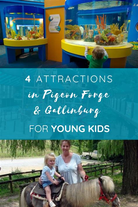 4 Attractions In Pigeon Forge And Gatlinburg For Young Kids Artofit