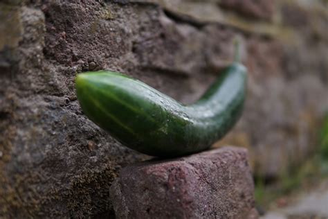 Bollheim urig? – bollheim.de
