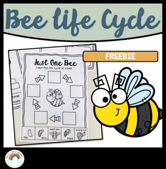 Life Cycle Wasp Printable Craft + 14 More Insect Templates