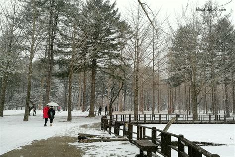 South Korea: Nami Island and Garden of Morning Calm Winter Wonderland - blissfulguro