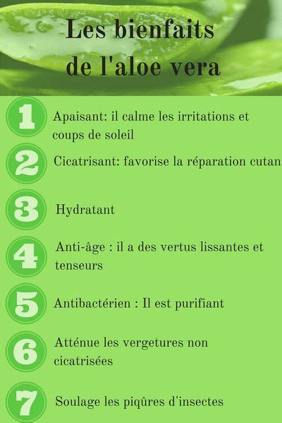 Aloe Vera Comment L Utiliser Conseils Soins Et Beaut Aloe Vera