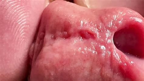 Free Penis Masturbation Gay Porn Videos XHamster