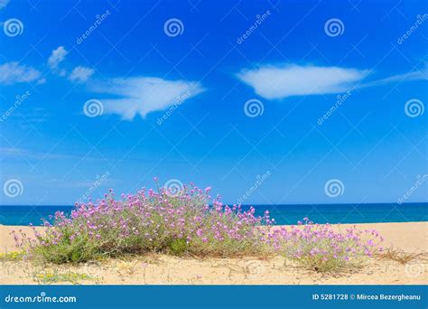 Mediterranean Sea Beach Royalty Free Stock Photo