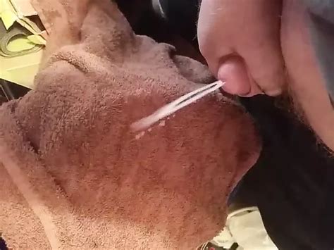 Jets Of Cum Free Man Porn Video A4 XHamster