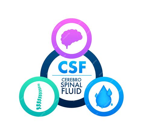 Premium Vector | Csf cerebrospinal fluid medical concept vector stock