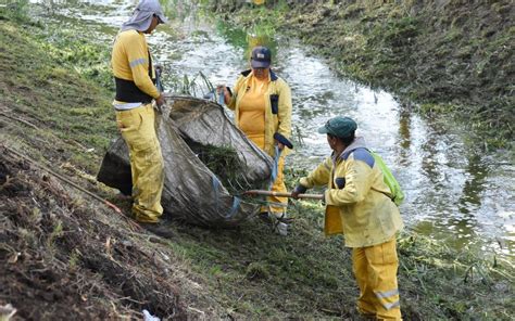 Retiran Mil Toneladas De Basura De Los Drenes De La Capital Queretana