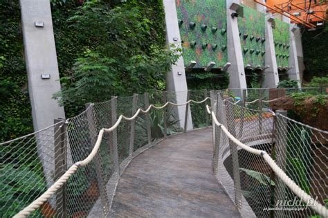 Wrocławskie Afrykarium Informacje Dla Turystów