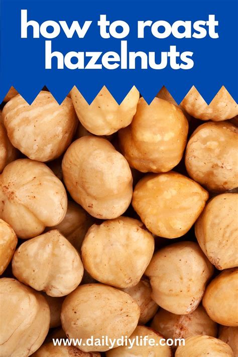 How To Roast Hazelnuts Artofit