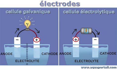 Lectrode D Finition Et Explications