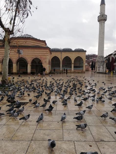 kastamonu nasrullah meydanı Taj Mahal Mosques Building Landmarks