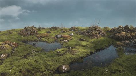 The Mystical Swamp By Kimkuidjin On Deviantart