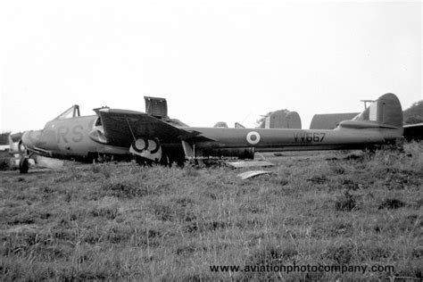 The Aviation Photo Company Vampire De Havilland RAF 226 OCU De