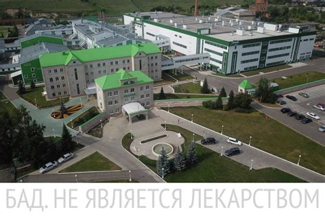 Эвалар: фармацевтический бизнес с женским лицом – Коммерсантъ Новосибирск