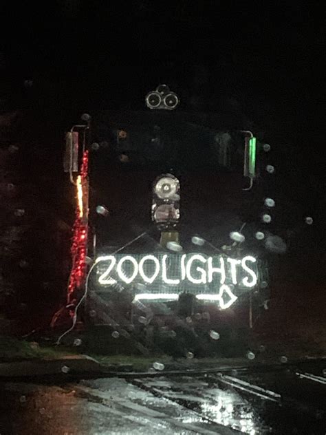 Portland Zoo Lights – MattAlbers.com