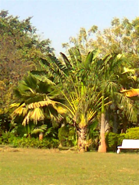 Prahladnagar Garden Ahmedabad Green Ahmedabad